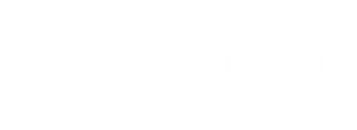 WAYDAMIN